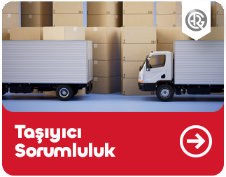Taşıyıcı Sorumluluk