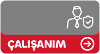 mega-menu-icon-calisanim-4